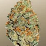 Насіння конопель LEMON MANDARIN ™ від Fast Buds